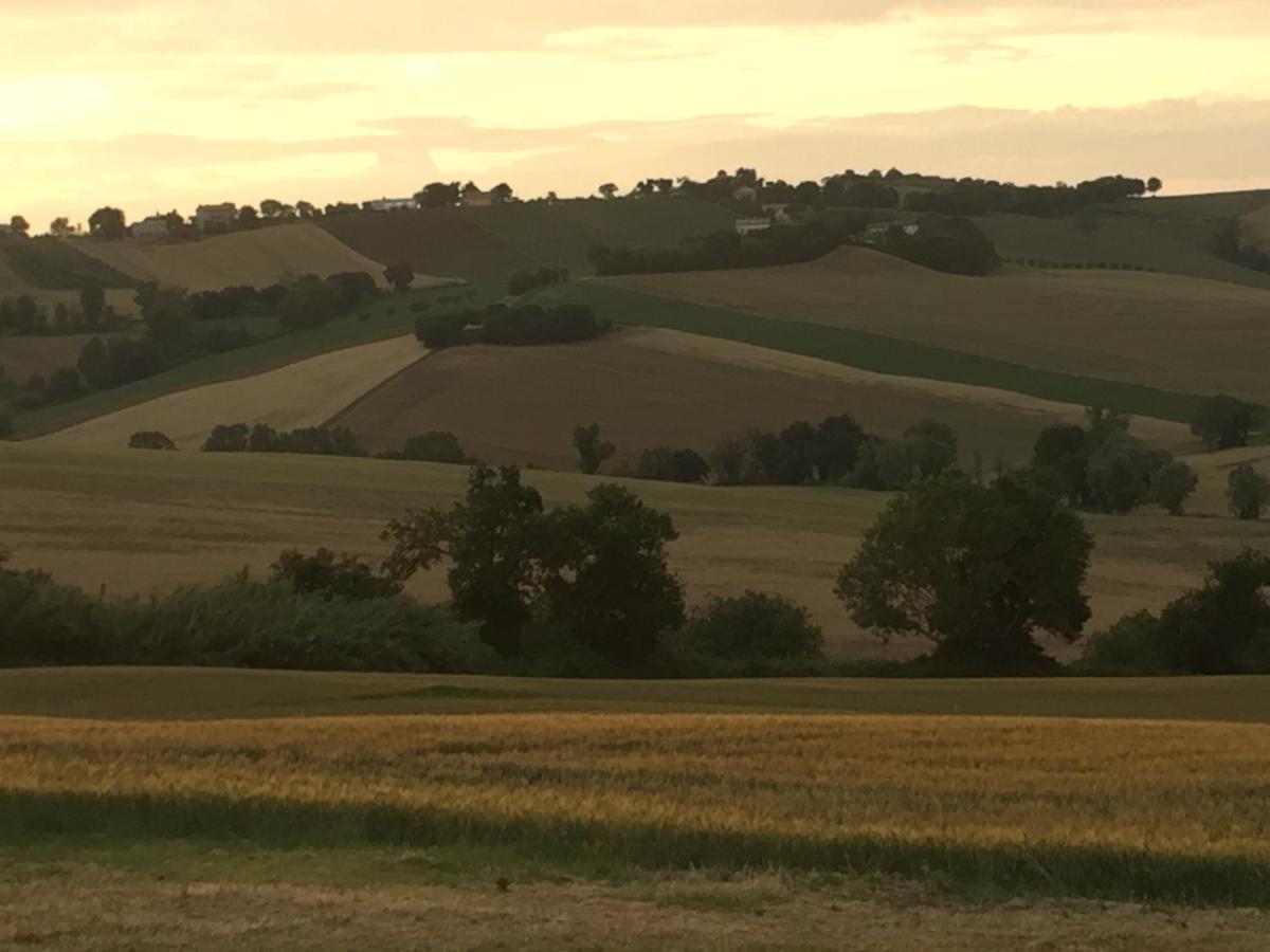 Il Giardino Nella Valle Belvedere Ostrense Exteriör bild