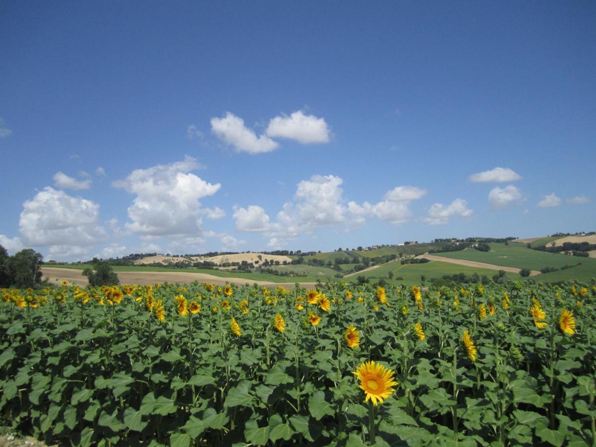 Il Giardino Nella Valle Belvedere Ostrense Exteriör bild
