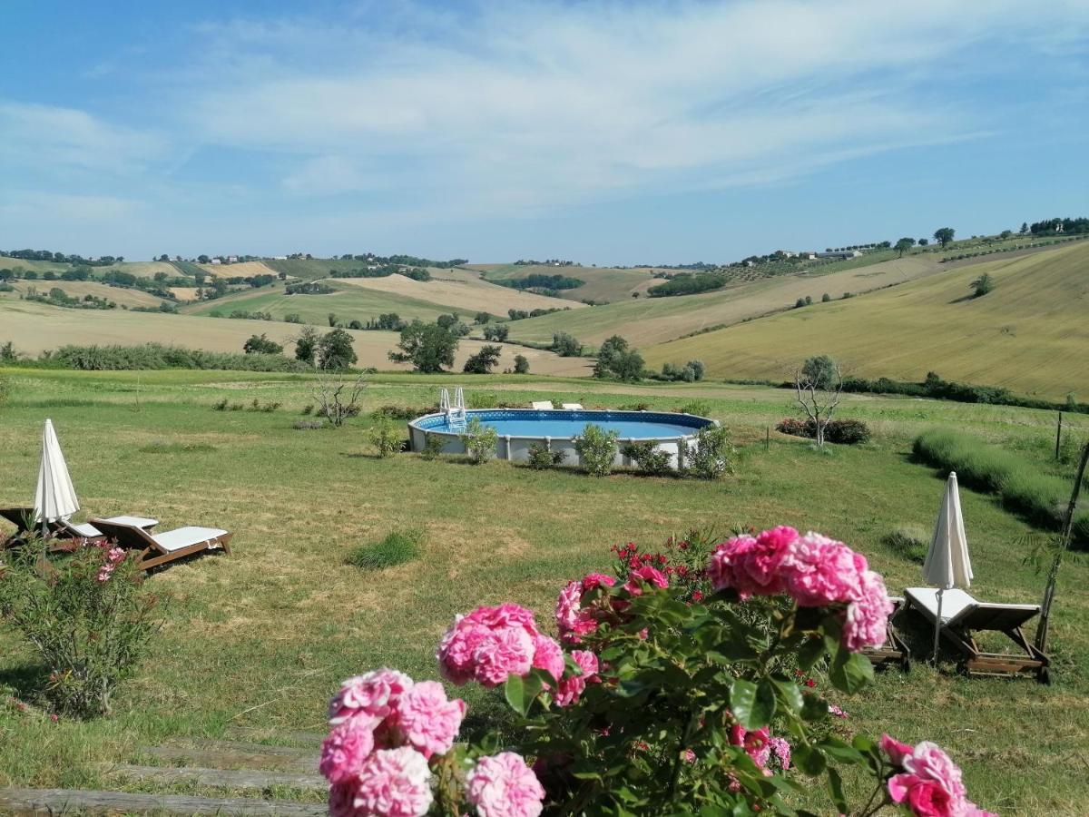 Il Giardino Nella Valle Belvedere Ostrense Exteriör bild