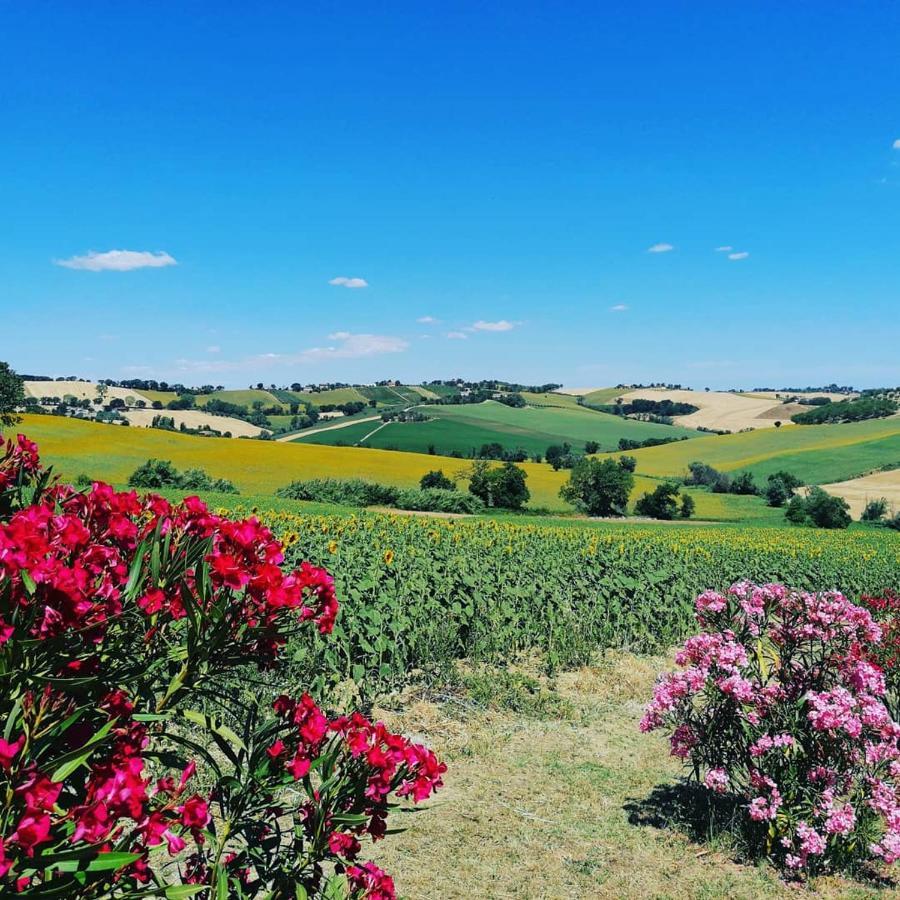 Il Giardino Nella Valle Belvedere Ostrense Exteriör bild