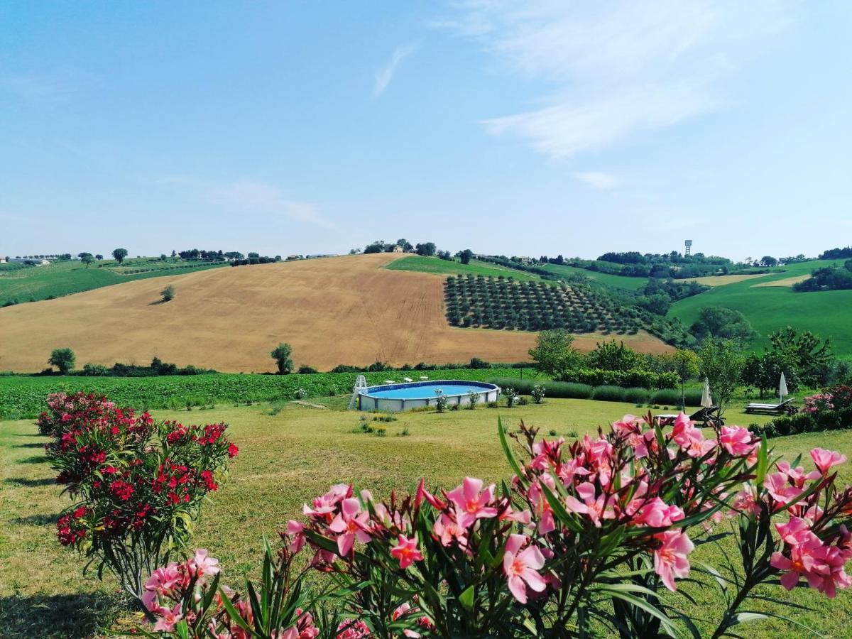 Il Giardino Nella Valle Belvedere Ostrense Exteriör bild