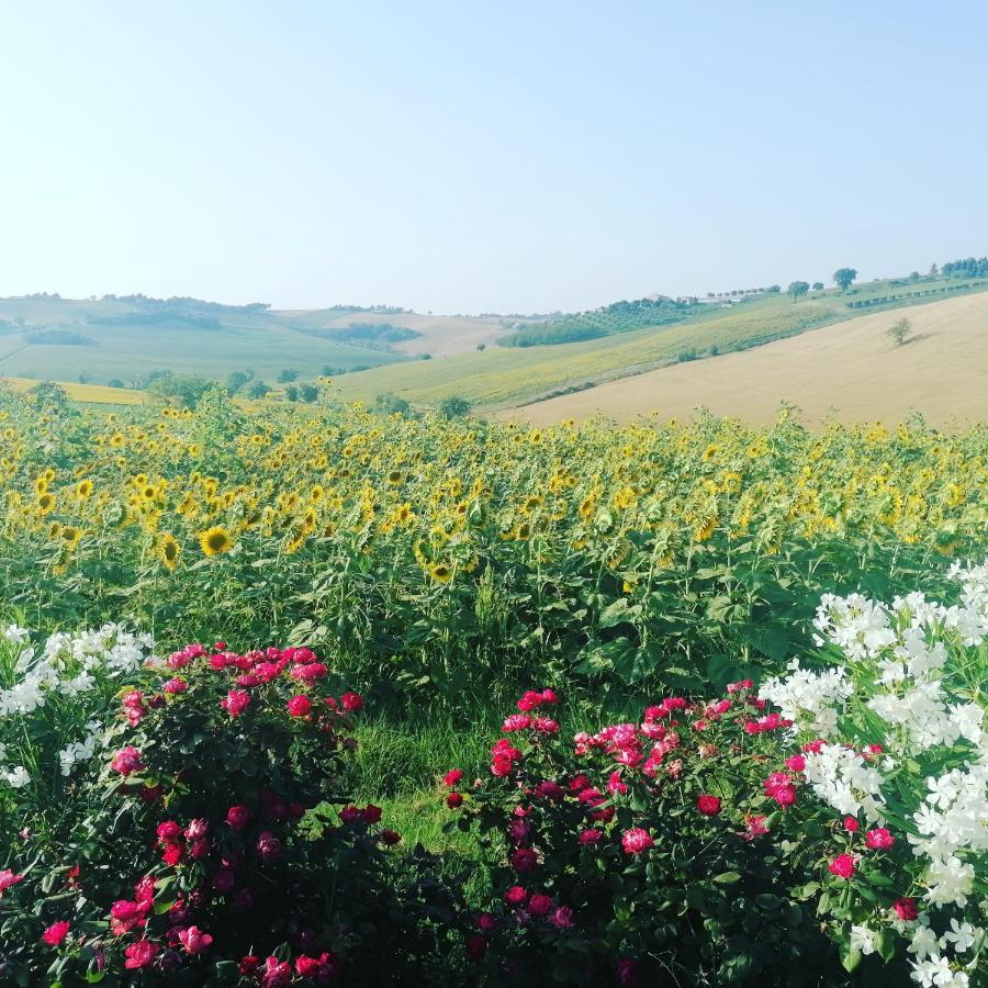 Il Giardino Nella Valle Belvedere Ostrense Exteriör bild