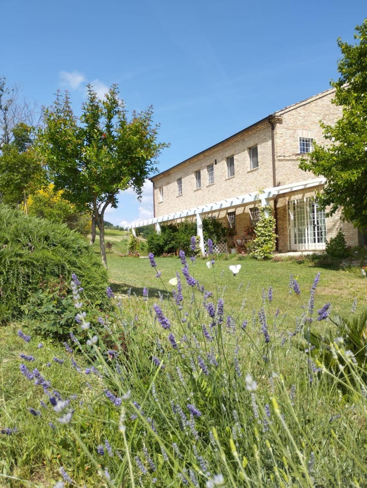 Il Giardino Nella Valle Belvedere Ostrense Rum bild
