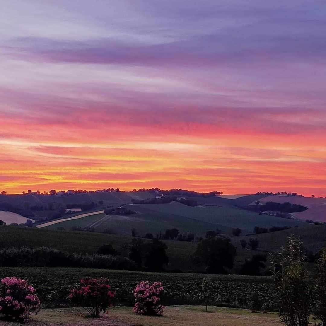 Il Giardino Nella Valle Belvedere Ostrense Exteriör bild