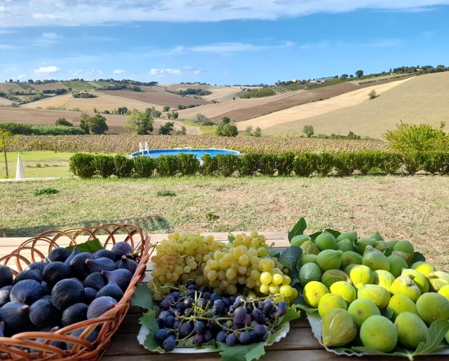 Il Giardino Nella Valle Belvedere Ostrense Exteriör bild