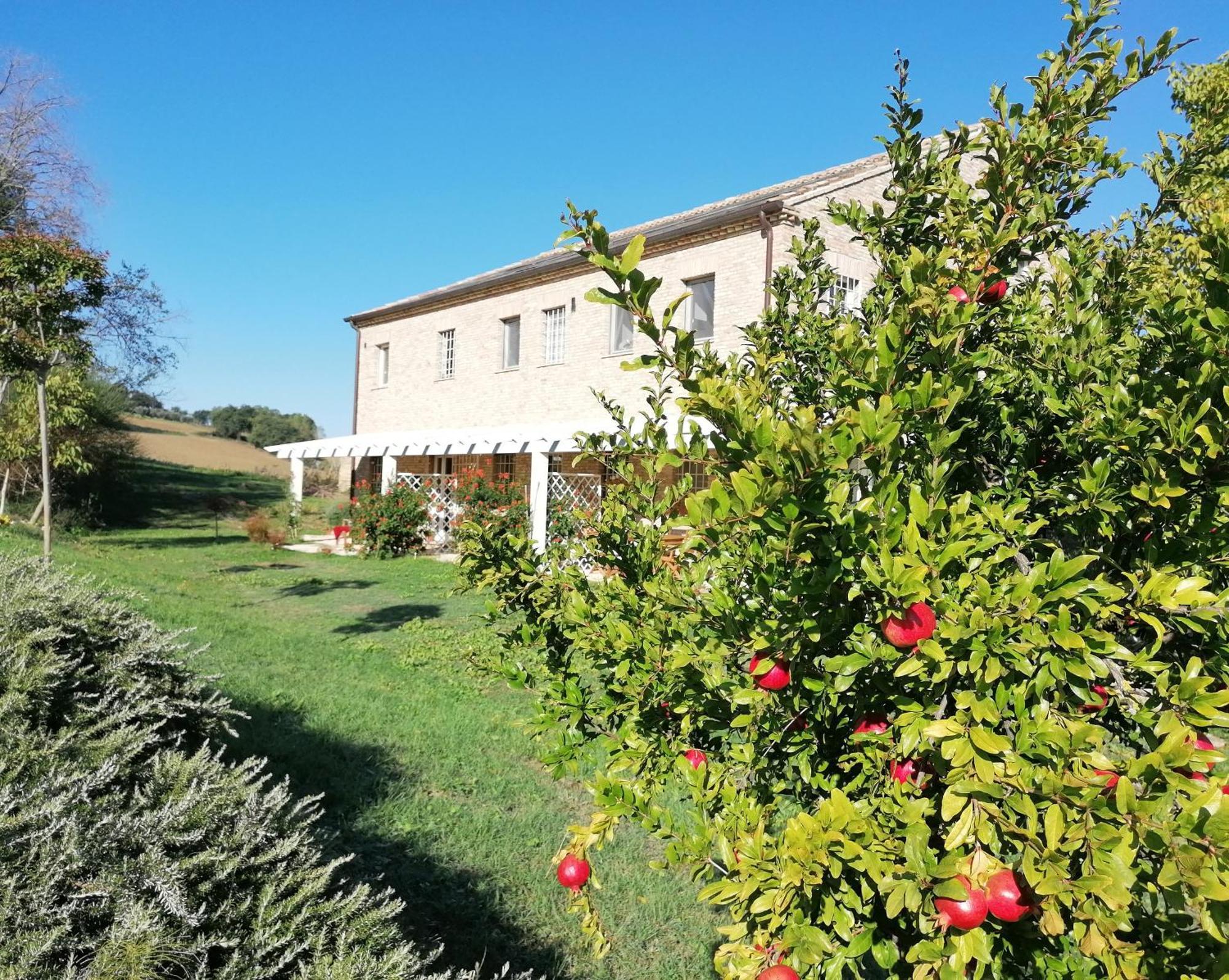 Il Giardino Nella Valle Belvedere Ostrense Exteriör bild