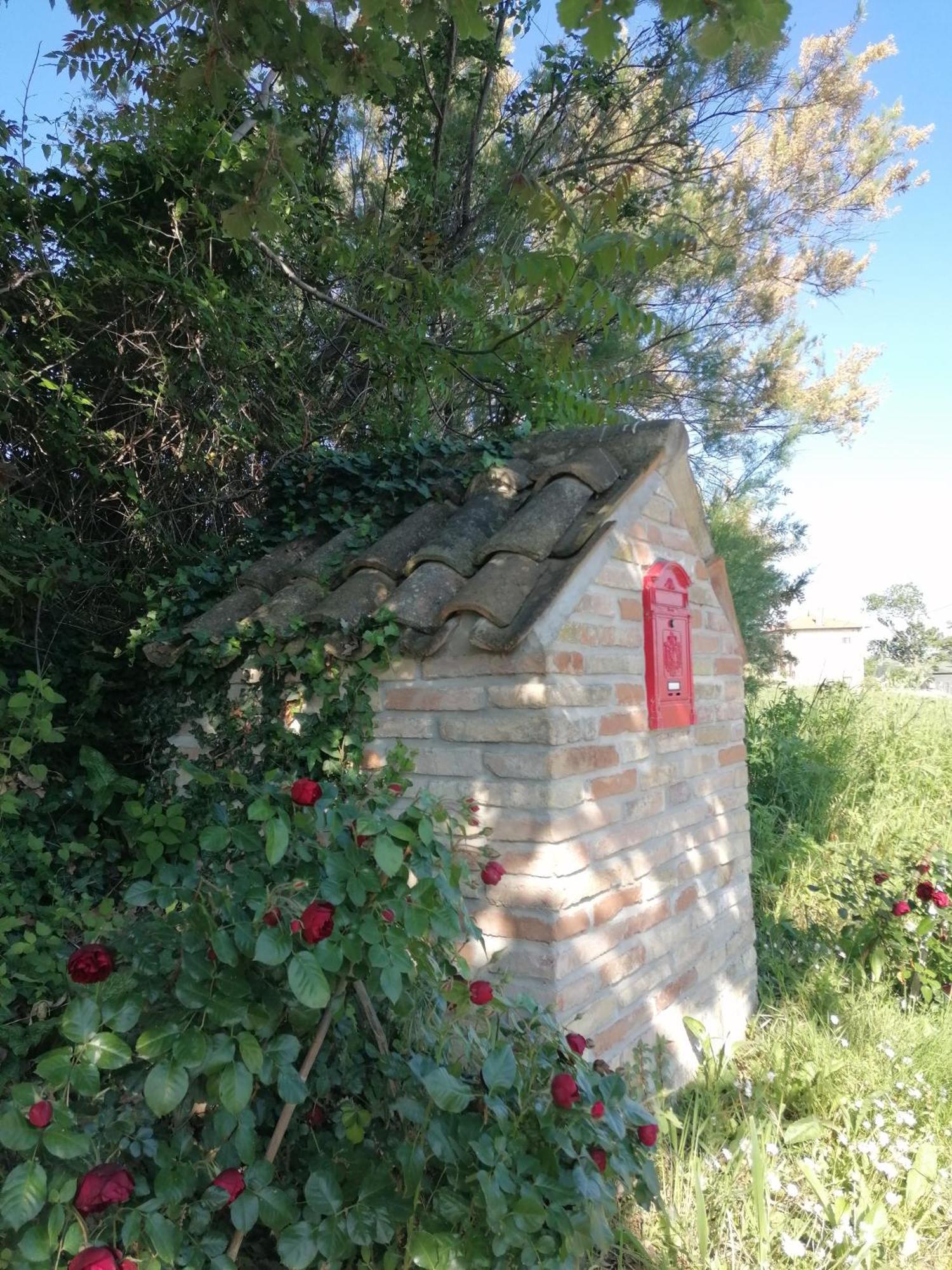 Il Giardino Nella Valle Belvedere Ostrense Exteriör bild