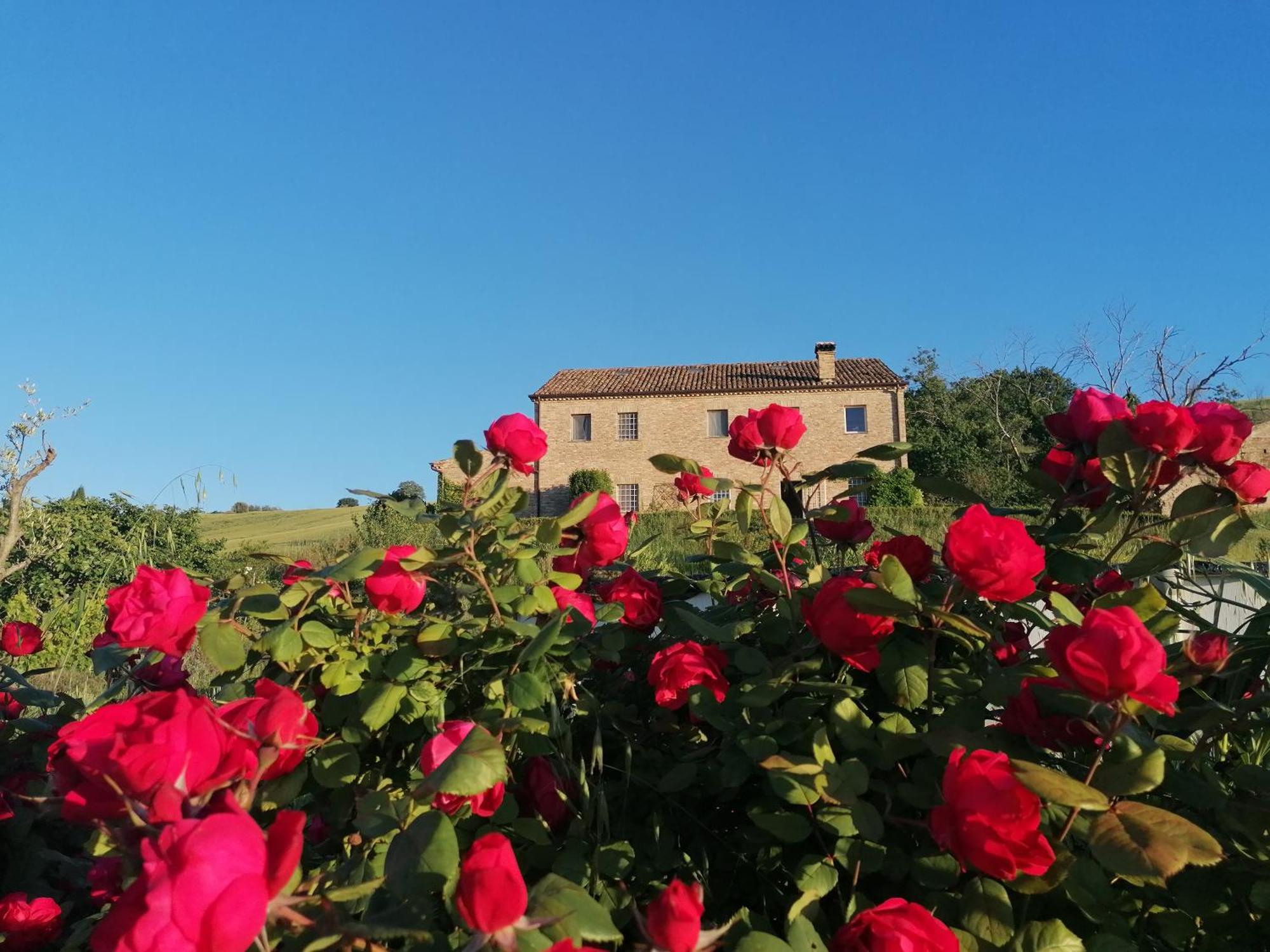 Il Giardino Nella Valle Belvedere Ostrense Exteriör bild