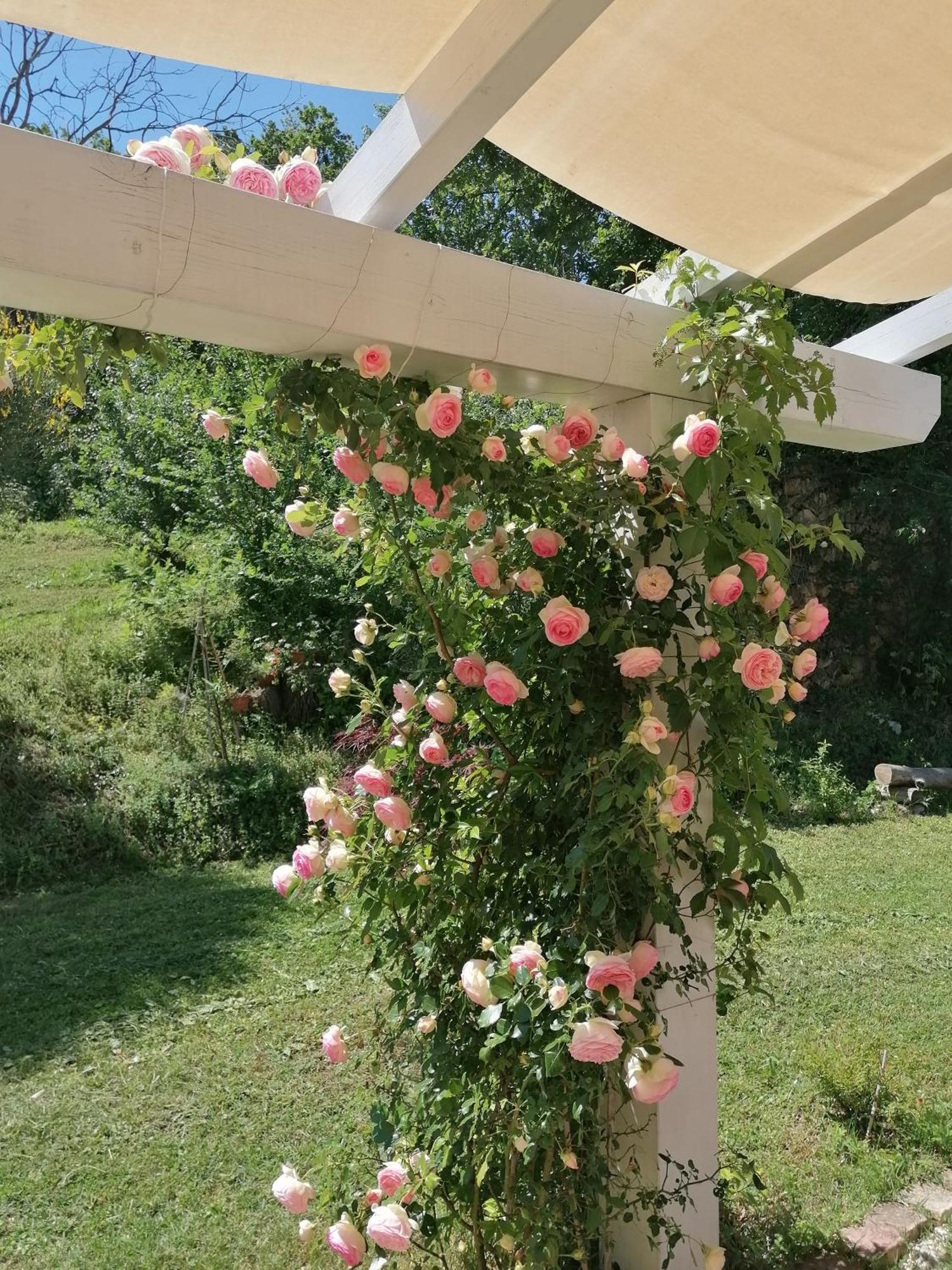 Il Giardino Nella Valle Belvedere Ostrense Exteriör bild