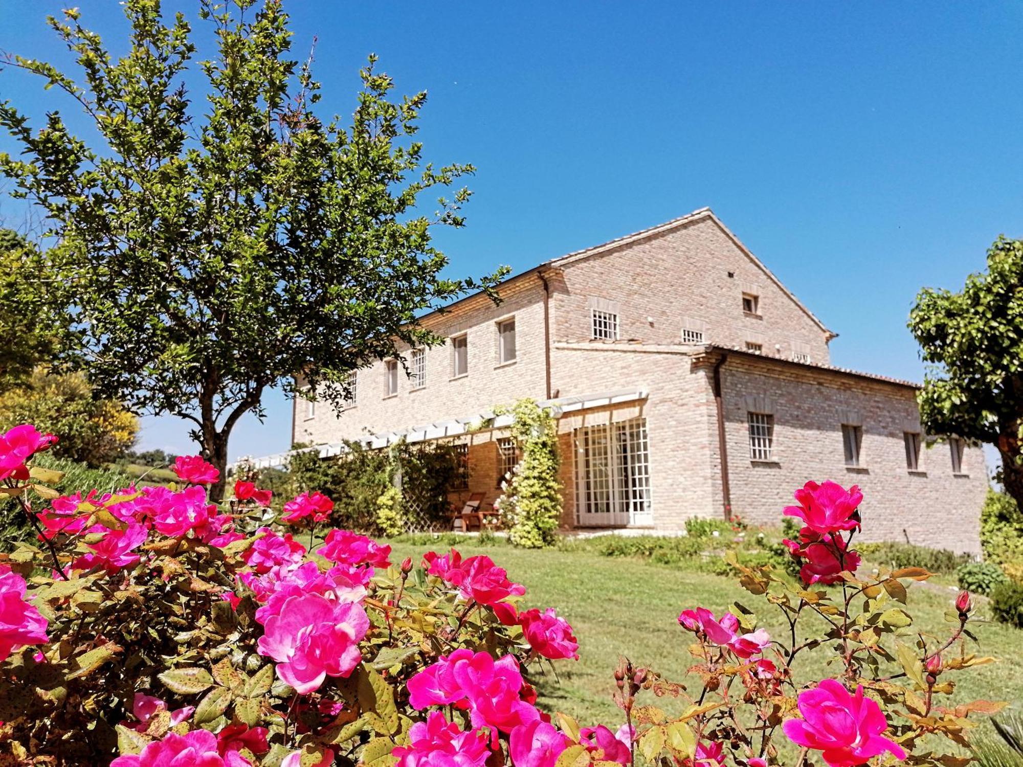 Il Giardino Nella Valle Belvedere Ostrense Exteriör bild