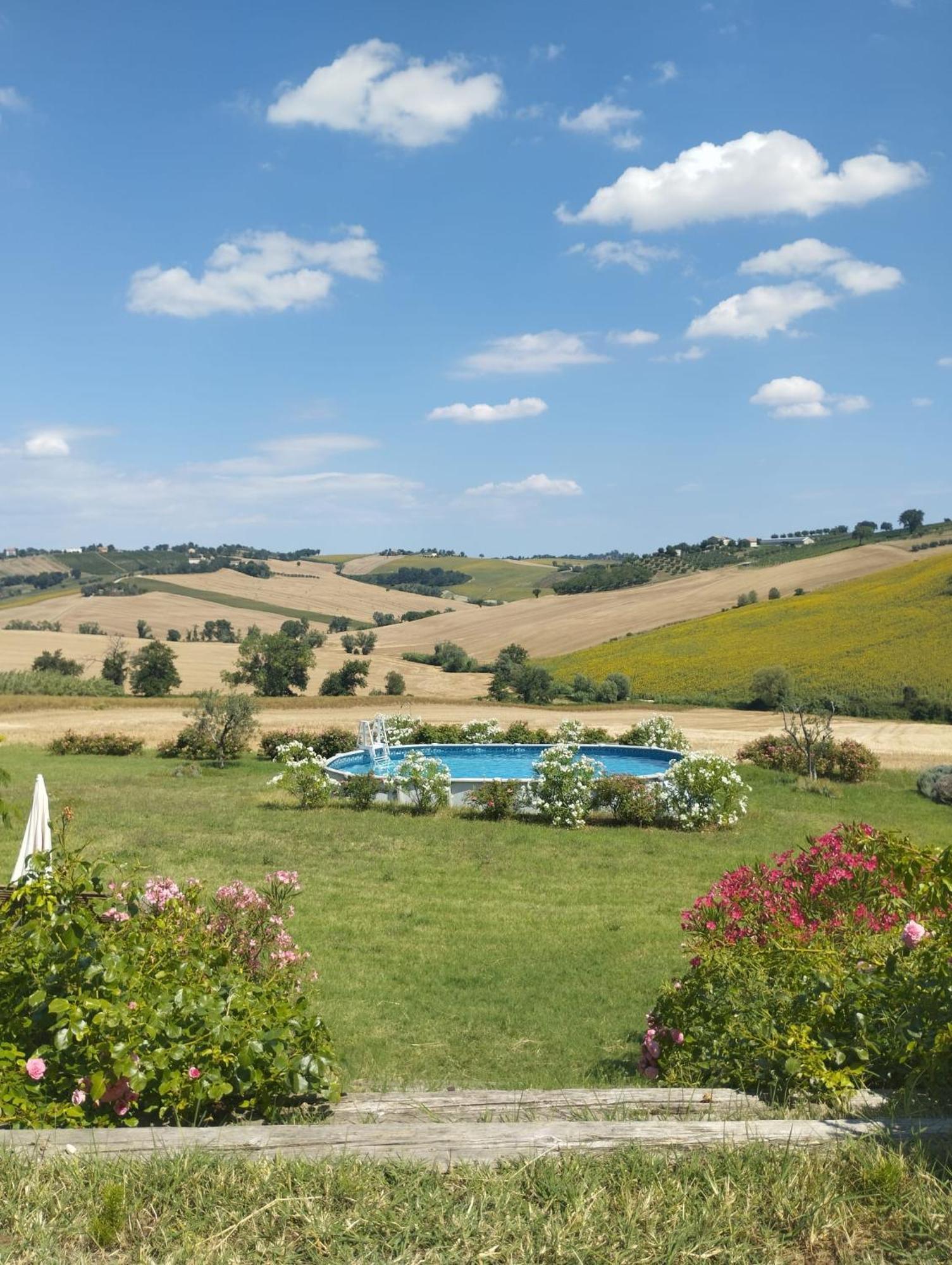 Il Giardino Nella Valle Belvedere Ostrense Exteriör bild